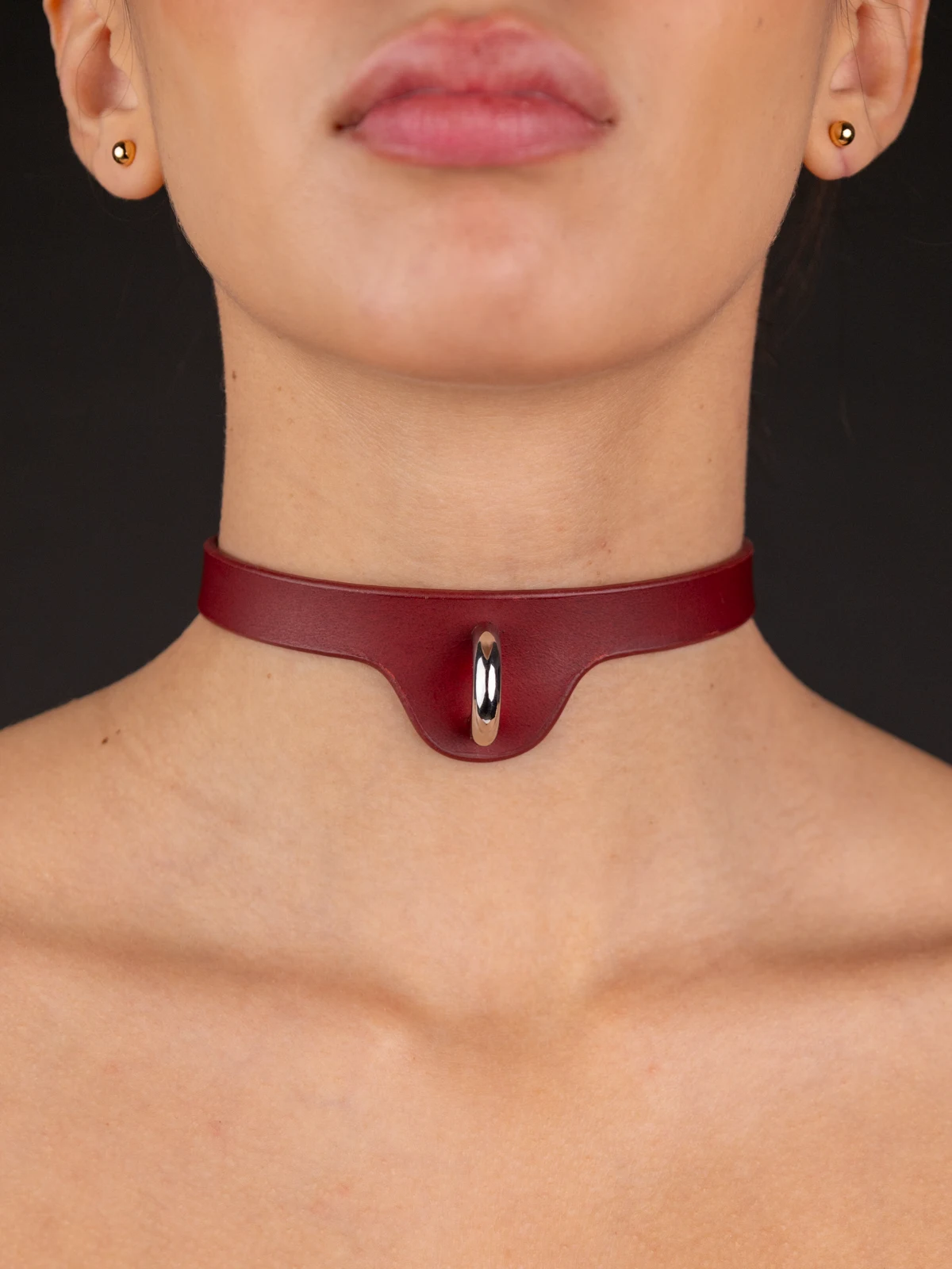 fetish-collars323