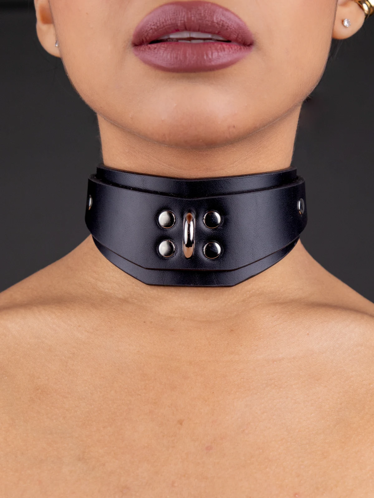 fetish-collars338