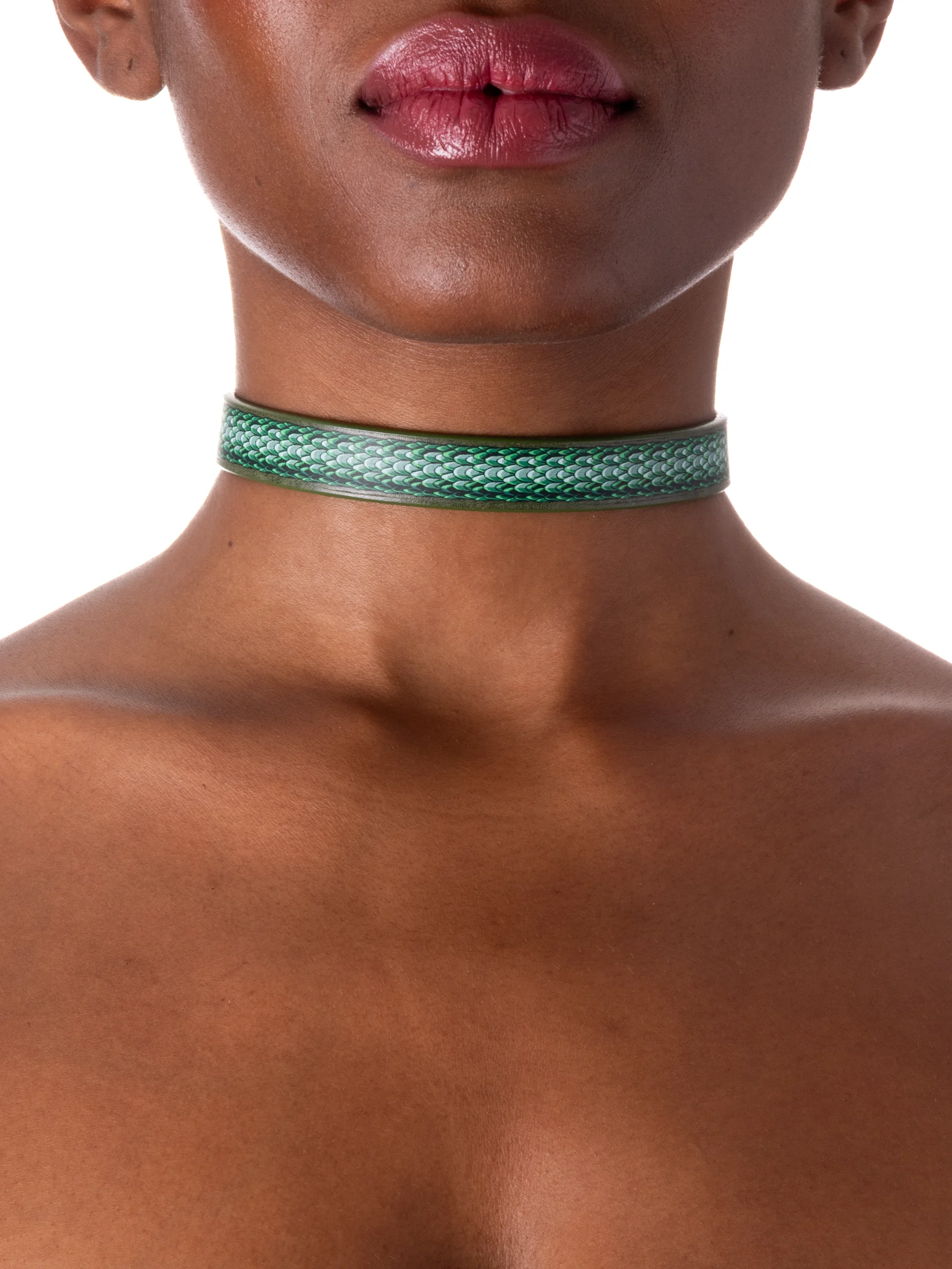 day-collar2111.webp