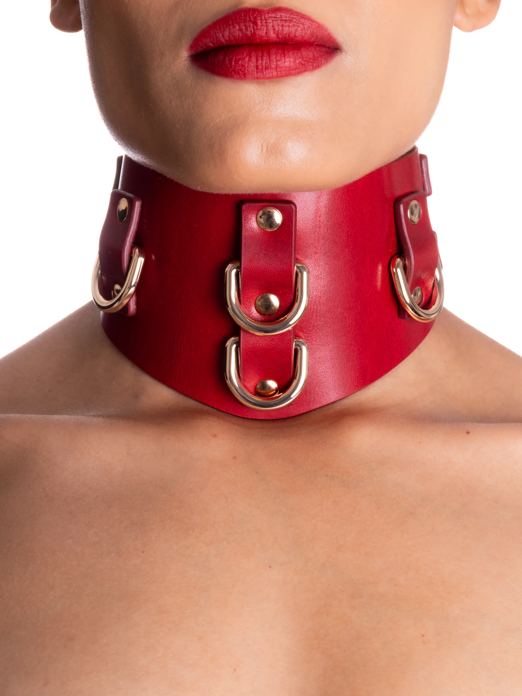 pet-play-collar46423.webp