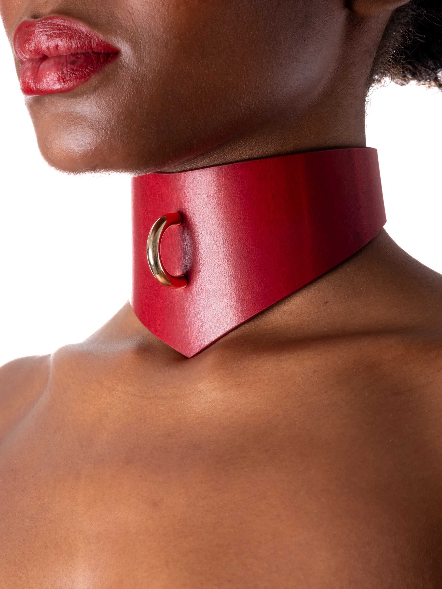 pet-play-collar46431.webp